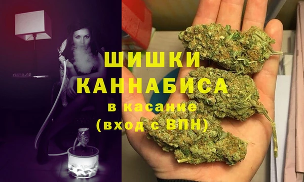 хмурый Няндома