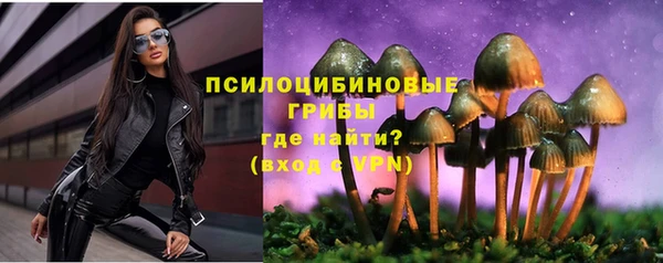 mix Нязепетровск