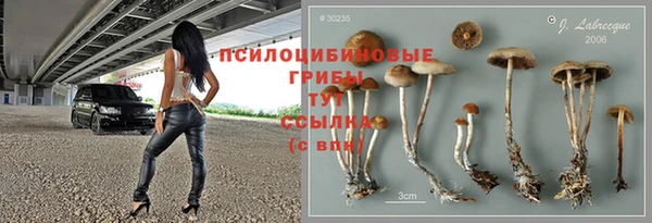 стаф Нягань